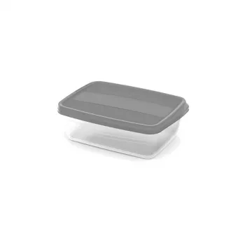 CURVER Vedo conjunto de recipientes retangulares de armazenamento 2x1,75L transparente cinzento
