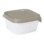 CURVER Fresh&Go conjunto de recipientes quadrados de armazenamento 3 peças 0,8L bege