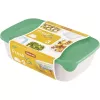 Curver Fresh & Go Conjunto de Caixas de Armazenamento, 3 Recipientes Retangulares, 2L + 1L + 0,5L, Transparente com Tampas Herméticas Coloridas