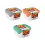Curver Fresh & Go Conjunto de Recipientes com 3 Unid., 0,8 L cada, Retangulares, Tampas Herméticas, Cores Variadas, Sem BPA