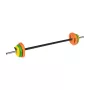 Conjunto de halteres REBEL ACTIVE 20 kg ferro fundido com barra de 140 cm