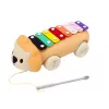 Leão de arrastar com música para crianças pequenas, instrumento de aprendizagem colorido LEAN TOYS