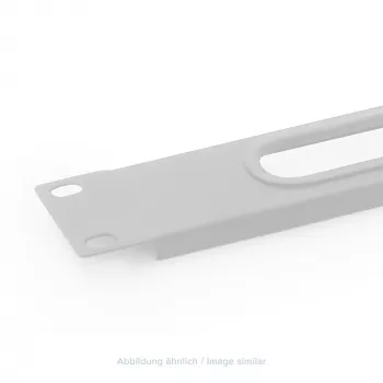 Triton RAC-ZP-X03-A1 Placa de passagem de cabos 19 polegadas 1U sem escova, cinzento
