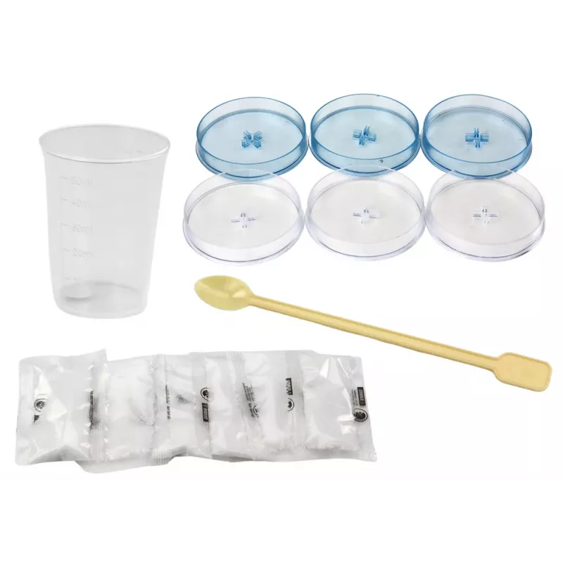 LEAN TOYS Conjunto criativo de aprendizagem para cultivar árvores de cristal