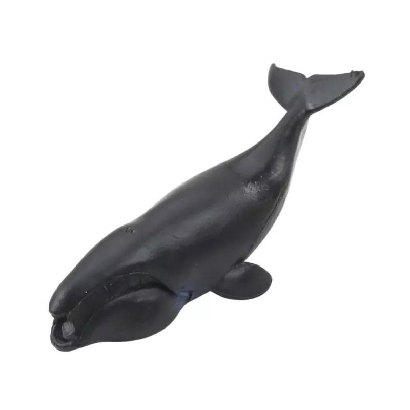 LEAN TOYS Conjunto de Mini Figuras Animais Marinhos Mamíferos Orca Fotografia Golfinho 6-8cm 6unid