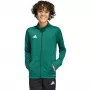 Sweatshirt de treino adidas Entrada 26 Track criança verde KE9837 116cm