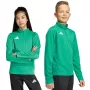 Sweatshirt de treino adidas Entrada 26 criança verde JZ6632 116cm