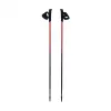Bastões de Nordic Walking Pro Trainer 110cm Viking vermelho/preto