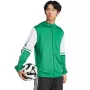 Sweatshirt de homem adidas Squadra 25 Hoody verde e branco JP3164 M