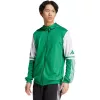Sweatshirt de homem adidas Squadra 25 Hoody verde e branco JP3164 M