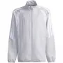 Sweatshirt criança adidas Tiro 26 League Presentation cinzento-claro JZ9053 164cm