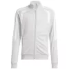 Sweatshirt criança adidas Tiro 26 League Training cinzento-claro JY7198 140cm