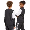 Sweatshirt de criança adidas Squadra 25 Sweat Crew preto JE2773 164cm