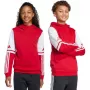 Sweatshirt com capuz de criança adidas Squadra 25 Sweat Hoody vermelho JD4805 128cm