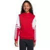 Sweatshirt com capuz de criança adidas Squadra 25 Sweat Hoody vermelho JD4805 128cm