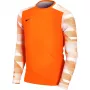 Sweatshirt de guarda-redes Nike Dry Park IV JSY LS GK Junior laranja CJ6072 819 XS