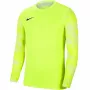 Sweatshirt de guarda-redes Nike Dry Park IV JSY LS GK Junior lime CJ6072 702 XS