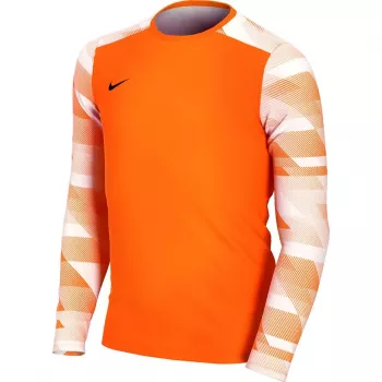 Sweatshirt de guarda-redes Nike Dry Park IV JSY LS GK Junior laranja CJ6072 819 L