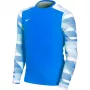 Sweatshirt de guarda-redes Nike Dry Park IV JSY LS GK júnior Royal Blue CJ6072 463 XL