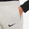 Nike Park 20 Fleece calças criança cinzento-claro CW6909 063