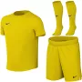 Conjunto de futebol para crianças Nike Dri-FIT Park VIII, Opti Yellow/preto, tamanho S