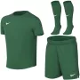 Conjunto desportivo para crianças pequenas Nike Dri-FIT Park VIII, verde, HV8260 302, tamanho S