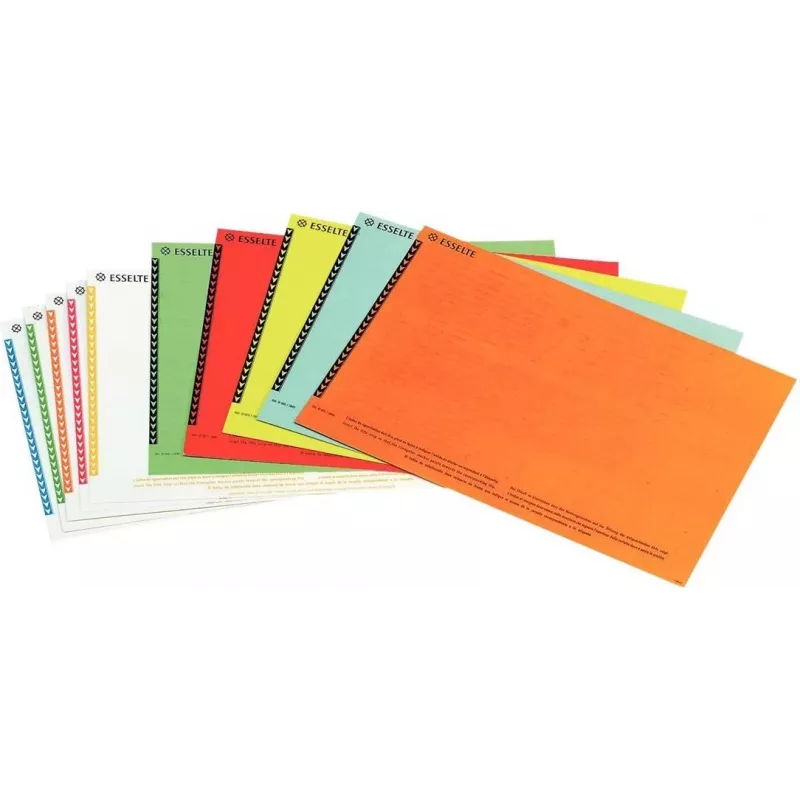 Etiquetas para ficheiros suspensos de armário LEITZ Esselte, branco, 60 x 12 mm, 100 etiquetas (326400)
