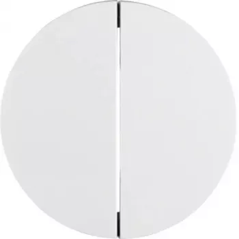 Hager WLW2010WG R.Classic Interruptor de tecla duplo com chave, branco polar brilhante
