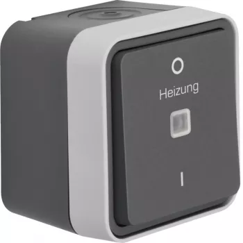 Interruptor de controlo Hager WNC015 2 polos de superfície com luz de controlo, cinzento