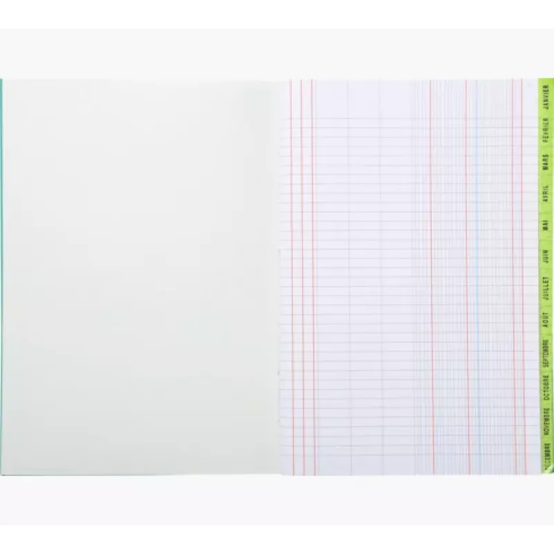 Livro de planeamento Le Dauphin A4, 96 páginas, 12 colunas, capa verde 39721D