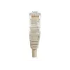 EXERTIS CONNECT cabo de patch Cat6 U/UTP, 0,5 m, cinzento, RJ45, Snagless EXC848050