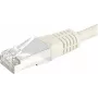 Exertis Connect 856810 Cabo de rede Cat6 S/FTP, 0,15 m, cinzento