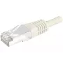 Exertis Connect 857740 Cabo patch Cat.6A S/FTP (PiMF) Class EA, 5 m, cinzento, proteção de curvatura fina