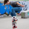 Skateboard completo SCHILDKRÖT Grinder 31 polegadas Wolf Deck 510682
