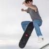 Skateboard completo SCHILDKRÖT Grinder 31 polegadas Wolf Deck 510682