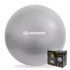 SCHILDKROT Bola de ginástica 65 cm prateado Anti-Burst 960156