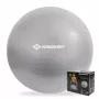 SCHILDKROT Bola de ginástica 65 cm prateado Anti-Burst 960156