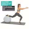 SCHILDKROT Bola de ginástica 65 cm prateado Anti-Burst 960156