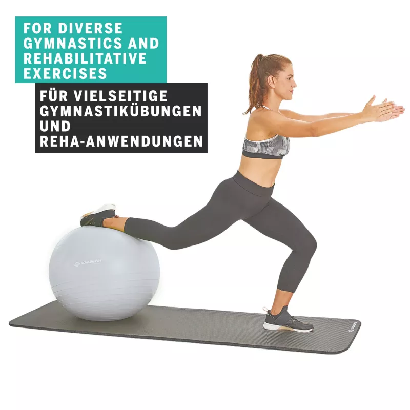 SCHILDKROT Bola de ginástica 65 cm prateado Anti-Burst 960156