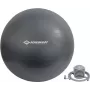 SCHILDKRÖT Bola de ginástica 750 mm antracite Anti-Burst 960157