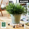 Wagner design yourself carrinho para plantas GH 0438, quadrado, madeira maciça de faia, 34 x 34 x 8 cm, 4 rodas giratórias, 100 kg de carga, natural, ajustável individualmente 20043801