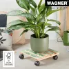 WAGNER design yourself carrinho para plantas GH0645 design quadrado em madeira 29 x 8 cm, bétula natural contraplacado, 4 rodas giratórias, 100 kg de carga 20064501