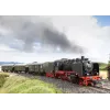 Märklin BR 24 locomotiva a vapor 36244