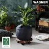 WAGNER Multiroller Country palissandro carrinho redondo para plantas, madeira maciça de palissandro, 300 mm, 100 kg 20018301