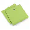 Zeller 14114 Caixa de arrumação em não tecido, 30 L, 32 x 32 x 32 cm, verde