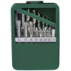 Conjunto de machos e tarraxas BRÜDER MANNESMANN 15 peças M3-M12 em mala metálica com janela M53215