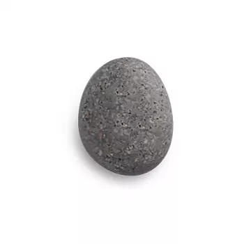 Zeller 6 ímanes de pedra cinzento 2,1 x 1,8 x 1,0 cm (11219)