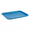 Tabuleiro APS azul retangular 35,0 x 27,0 cm (539)