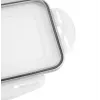 Caixa de cubos de gelo APS com tampa, transparente/cinzento, conjunto de 2, polipropileno, adequada para máquina de lavar louça 36103