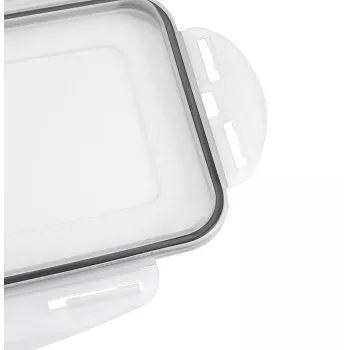 Caixa de cubos de gelo APS com tampa, transparente/cinzento, conjunto de 2, polipropileno, adequada para máquina de lavar louça 36103